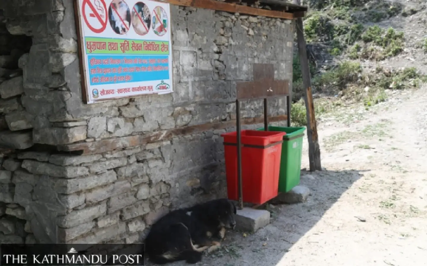 Nepal’s officials perplexed about what to do with seized hunting dog Nepal’s officials perplexed about what to do with seized hunting dog