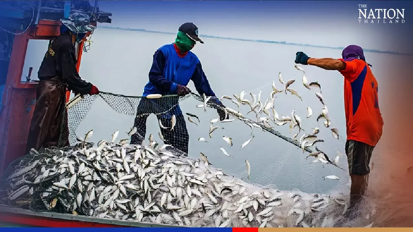 Department calls for opinions on regulation banning small-fish catches