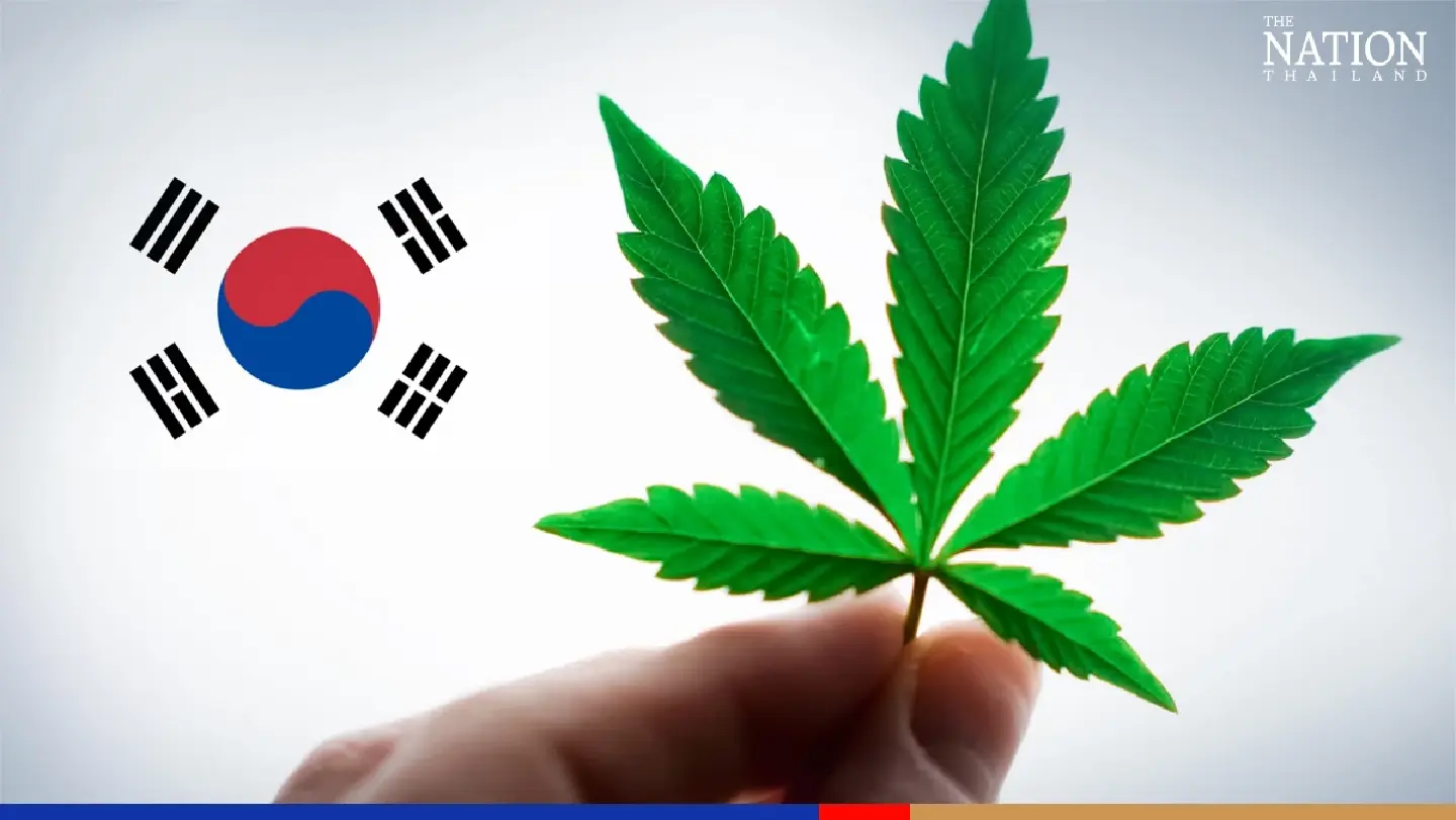 Thais warned against taking cannabis into South Korea
