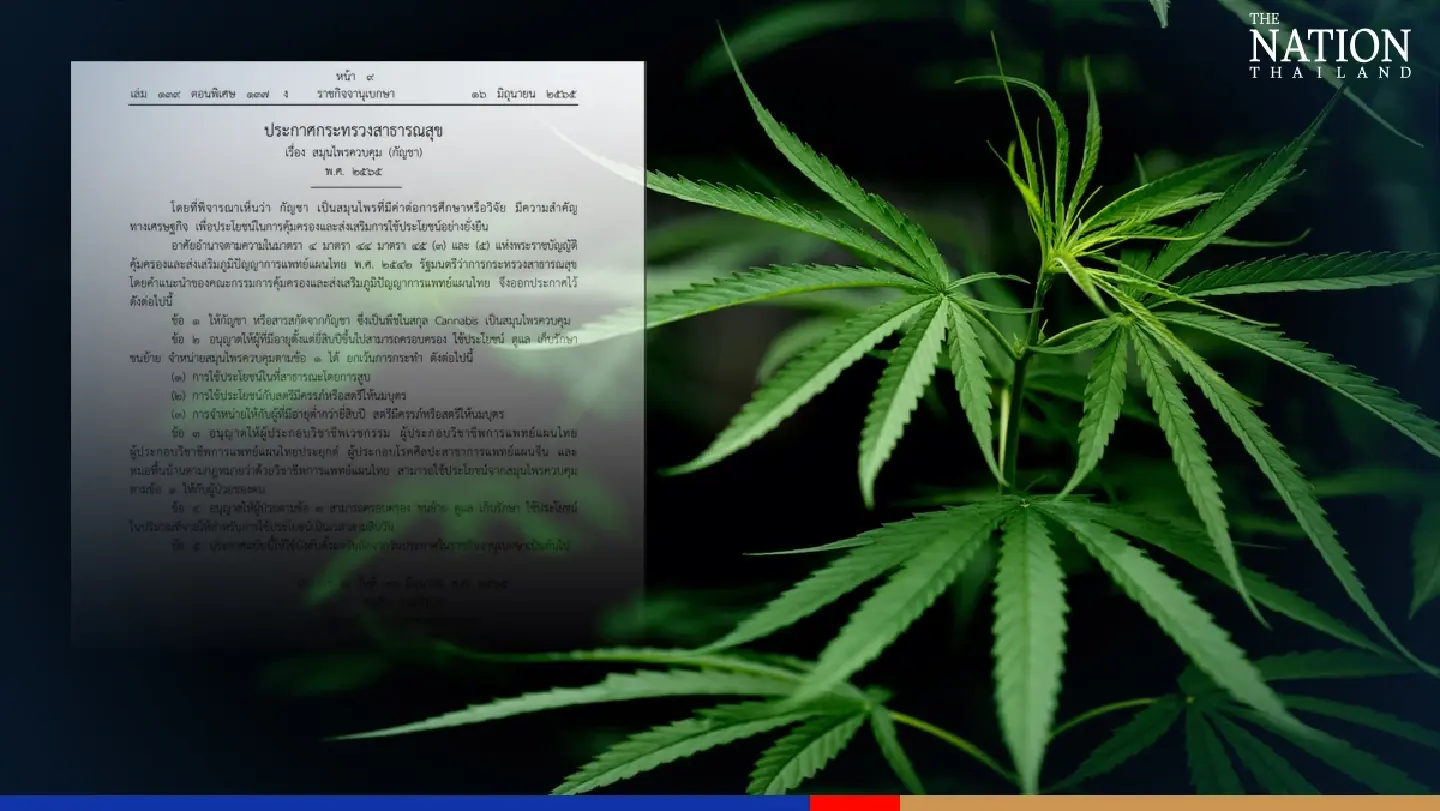 Cannabis users must be aged 20+, announces Thai govt