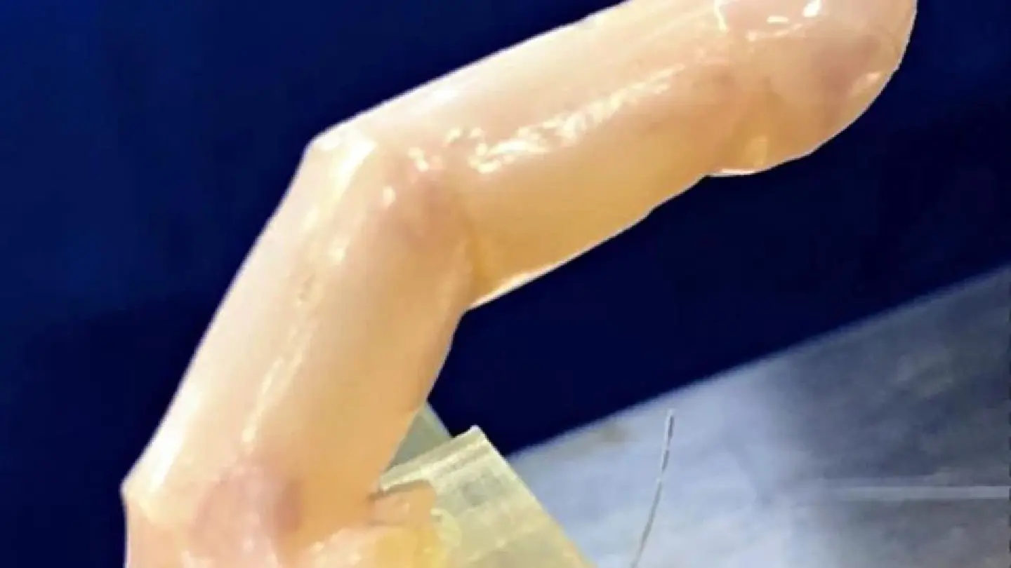 Japanese scientists invent robot finger with ‘human skin’