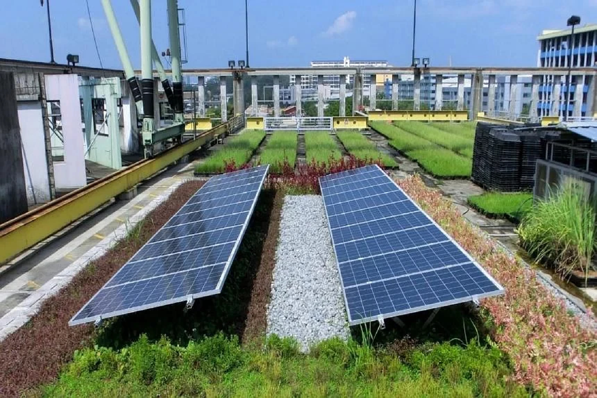 Pulau Ubin's main village may have up to 90% of electricity from solar by 2023