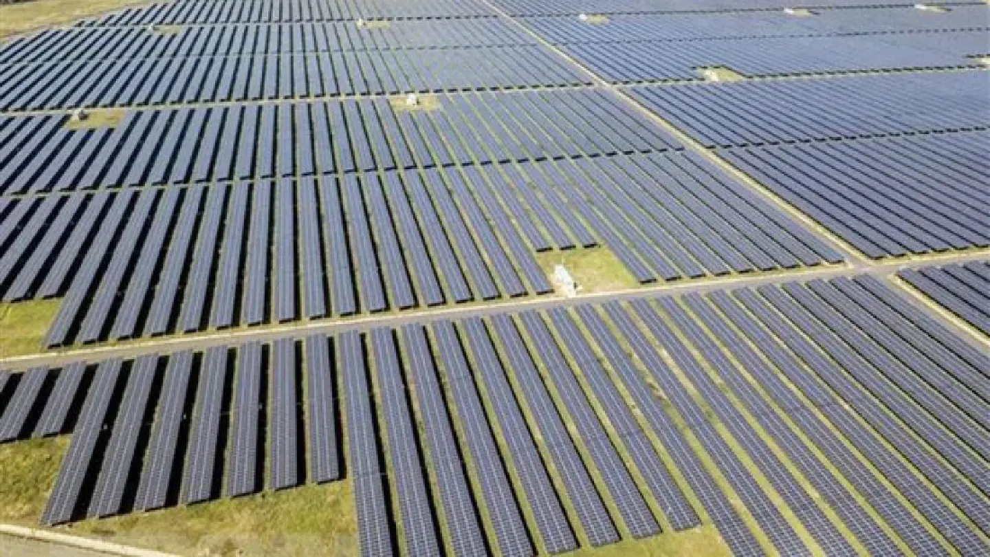 Mekong Delta eyes rapid development of renewable energy Mekong Delta eyes rapid development of renewable energy
