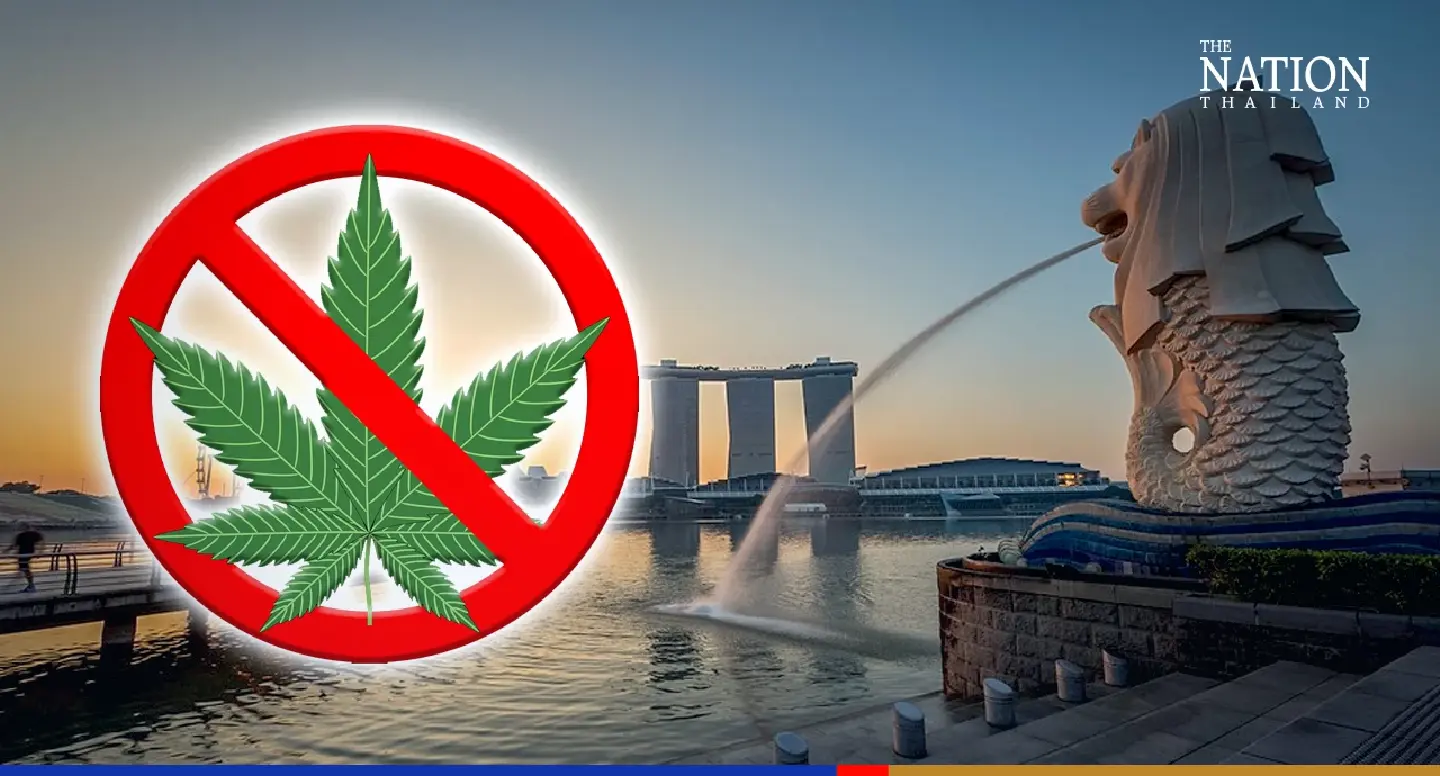 Travellers warned against carrying cannabis to Singapore Travellers warned against carrying cannabis to Singapore