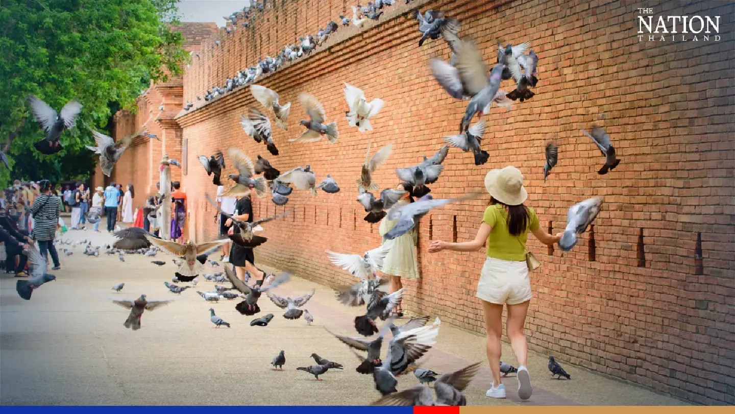 TAT expects Chiang Mai to attract 1 million visitors in next few months