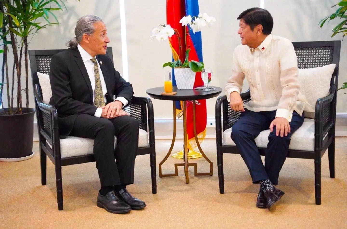 Bongbong Marcos commits to human rights accountability, says UN envoy