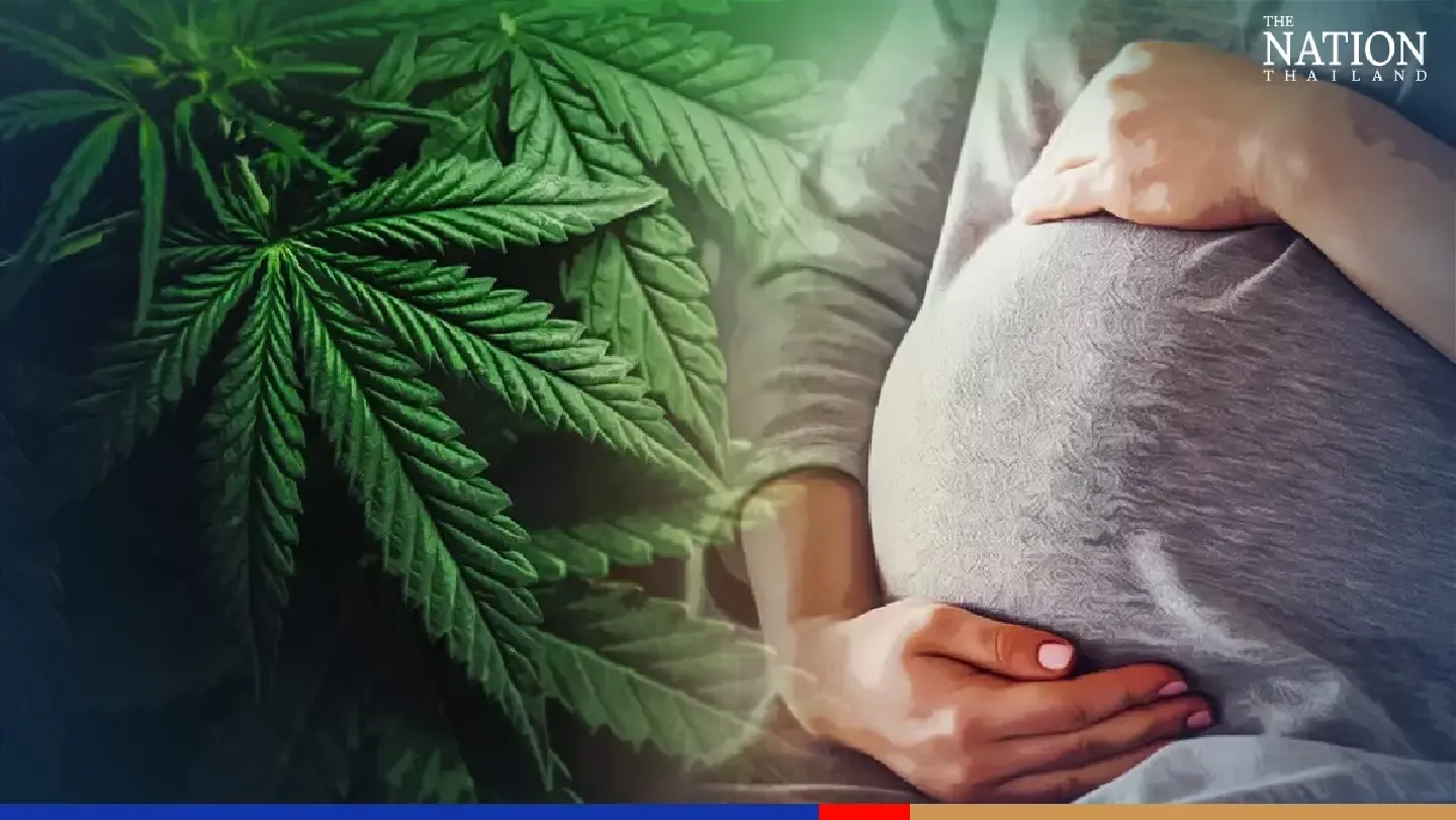 Psychiatric body calls for steps to ensure safe use of cannabis Psychiatric body calls for steps to ensure safe use of cannabis