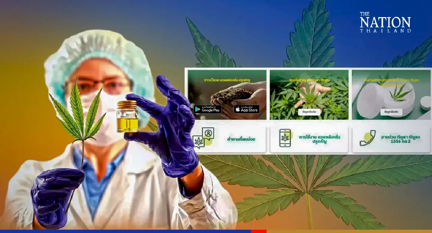 Thailand’s cannabis registration channels draw 32m visits in 2 days Thailand’s cannabis registration channels draw 32m visits in 2 days