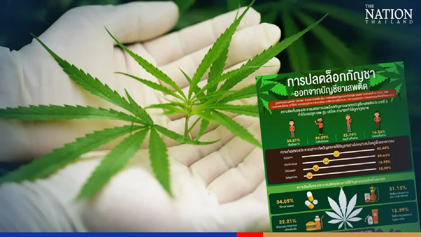 Kids getting hooked the biggest worry as Thailand legalises weed