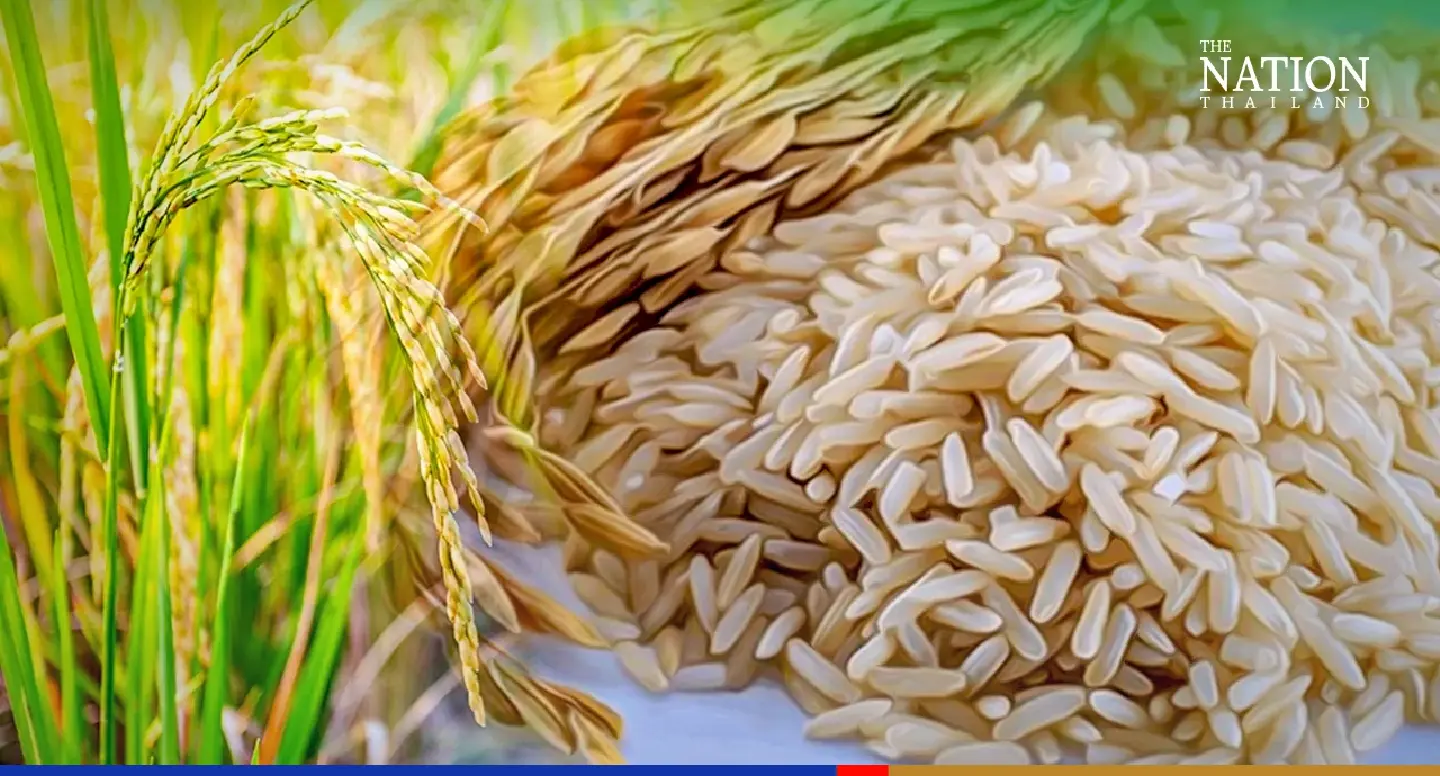 UAE interested in purchasing Thai rice: Sansern