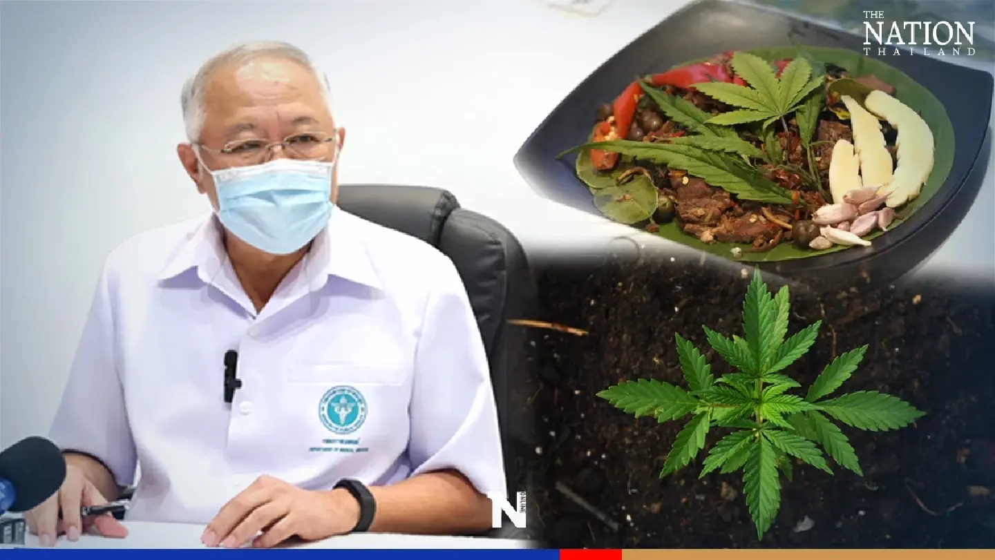 Health issues caused by marijuana on the rise in Bangkok Health issues caused by marijuana on the rise in Bangkok
