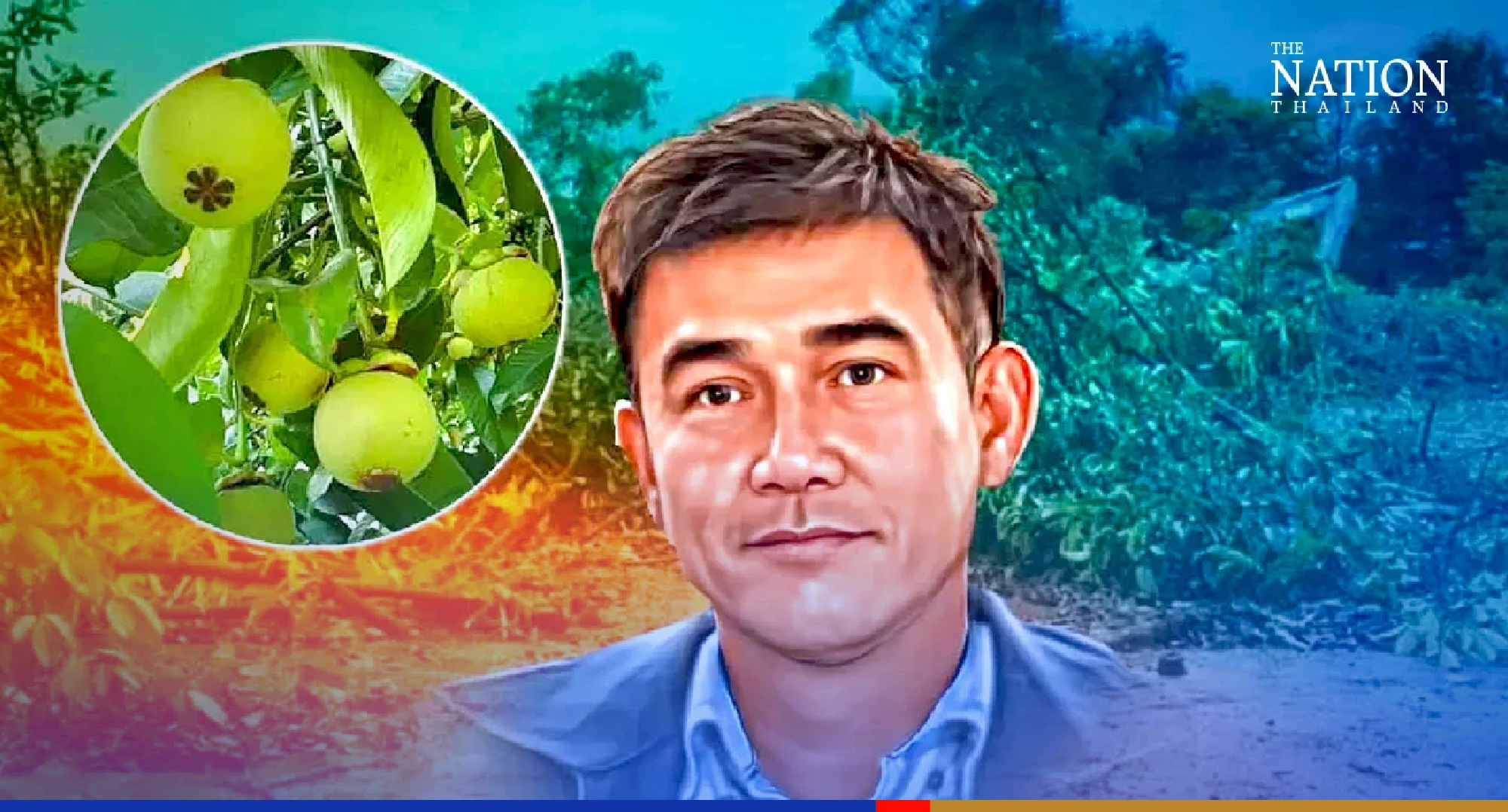 Mangosteen trees making way for pricier durians, says official