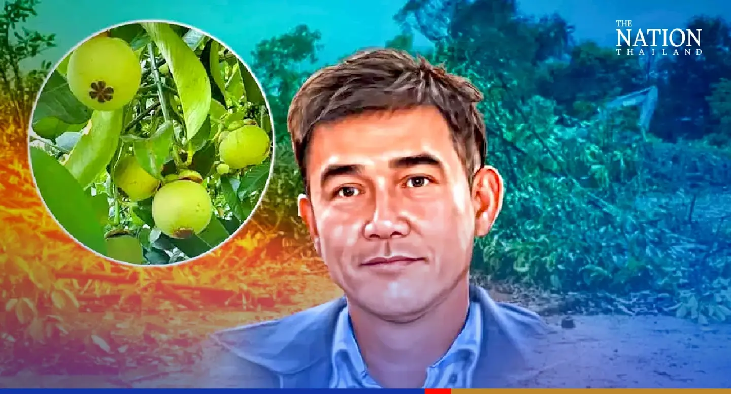 Mangosteen trees making way for pricier durians, says official Mangosteen trees making way for pricier durians, says official