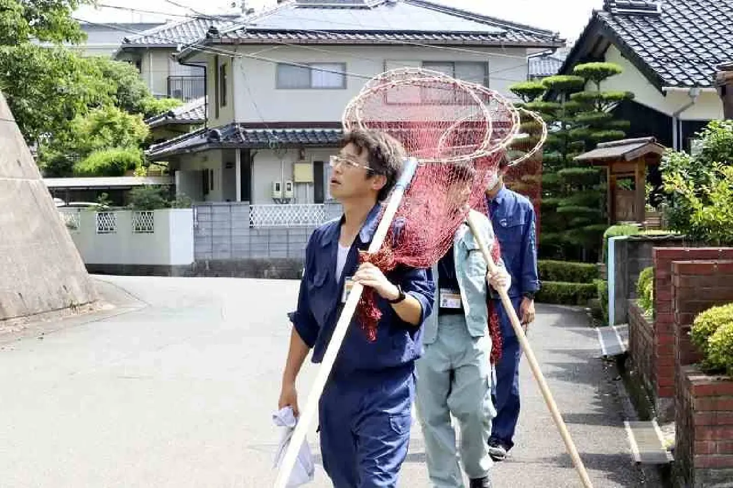 Macaque wreaks havoc in residential area of Japanese city