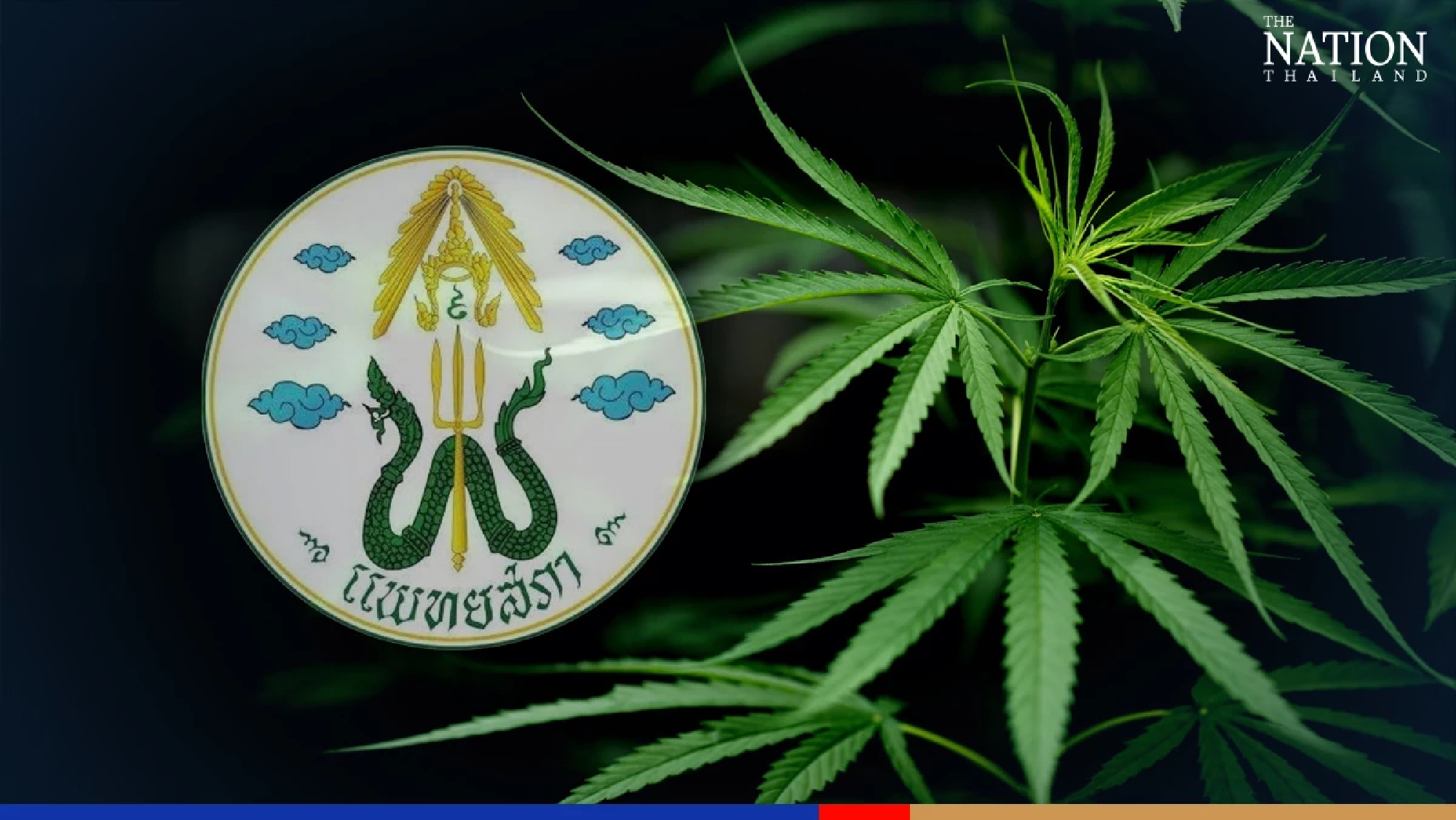 Council issues guidelines on medical use of ganja