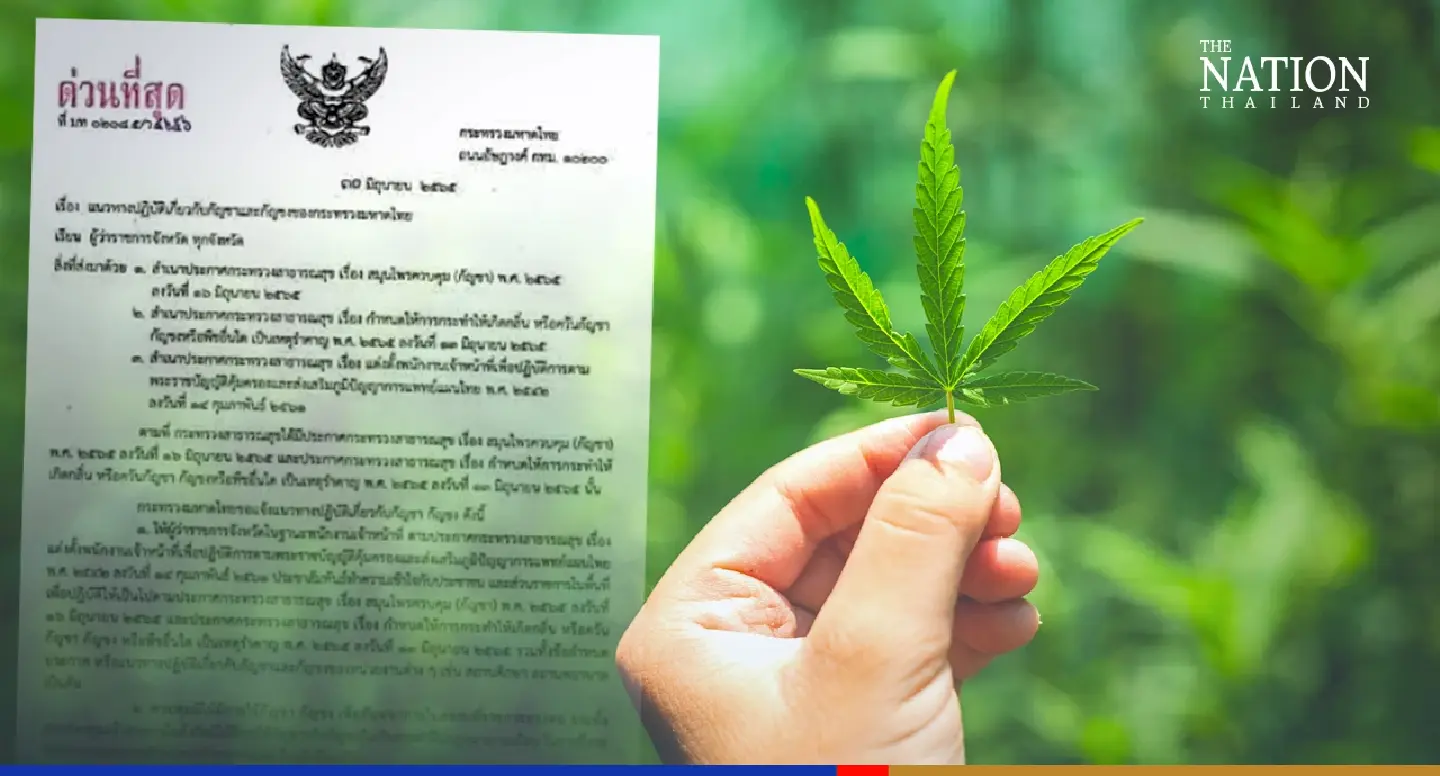 Ministry tells governors to control cannabis usage in their provinces