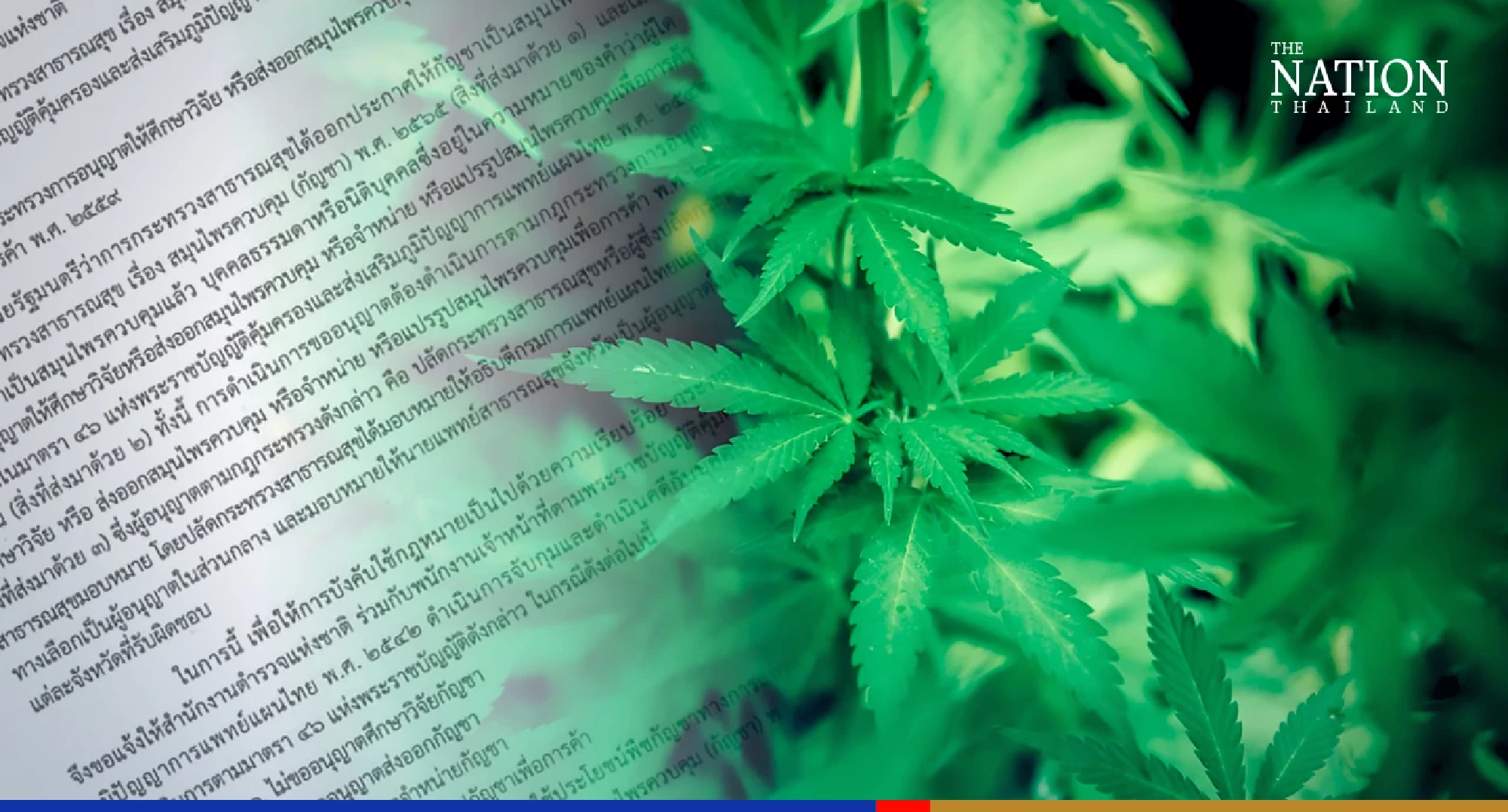 Health Ministry wants police to smoke out people who break cannabis law