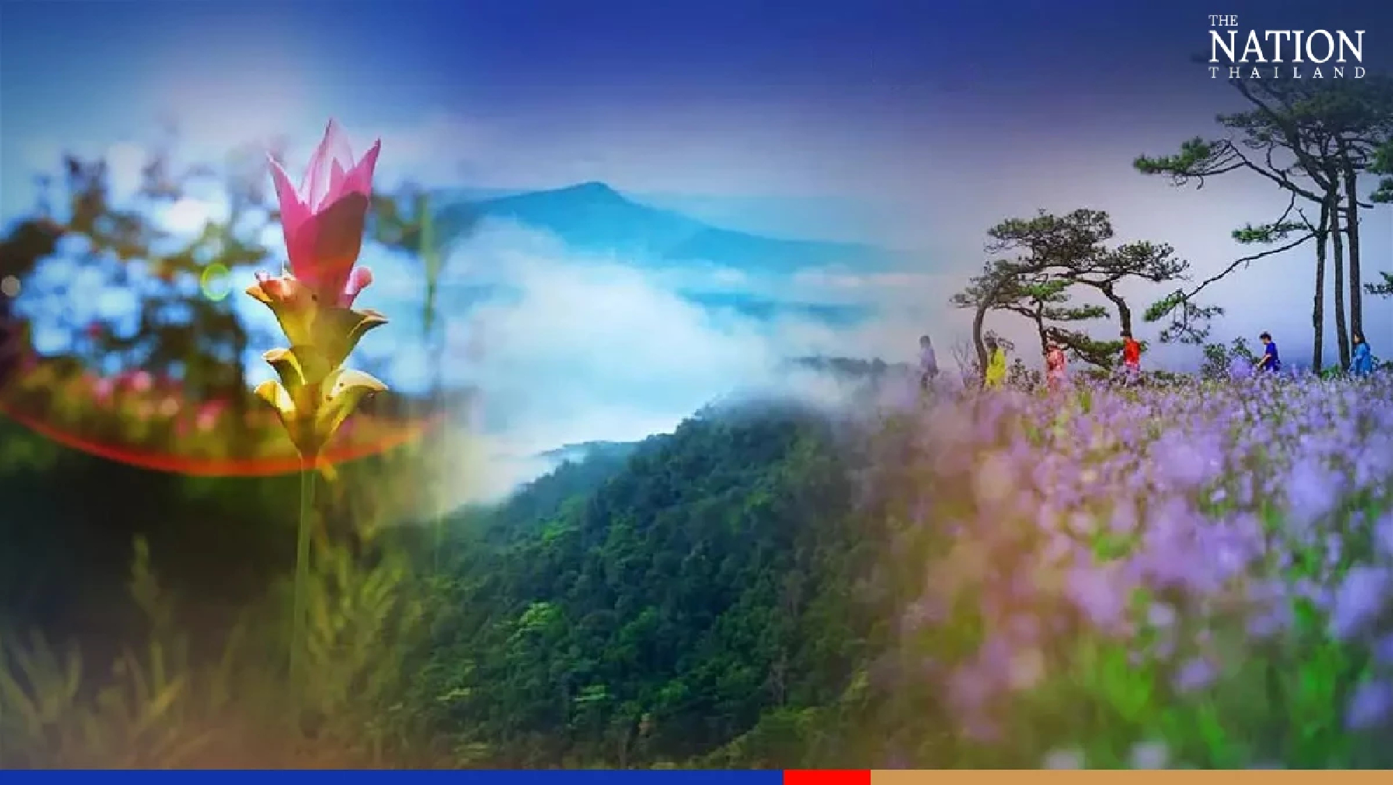 Thailand’s top five national parks for the rainy season