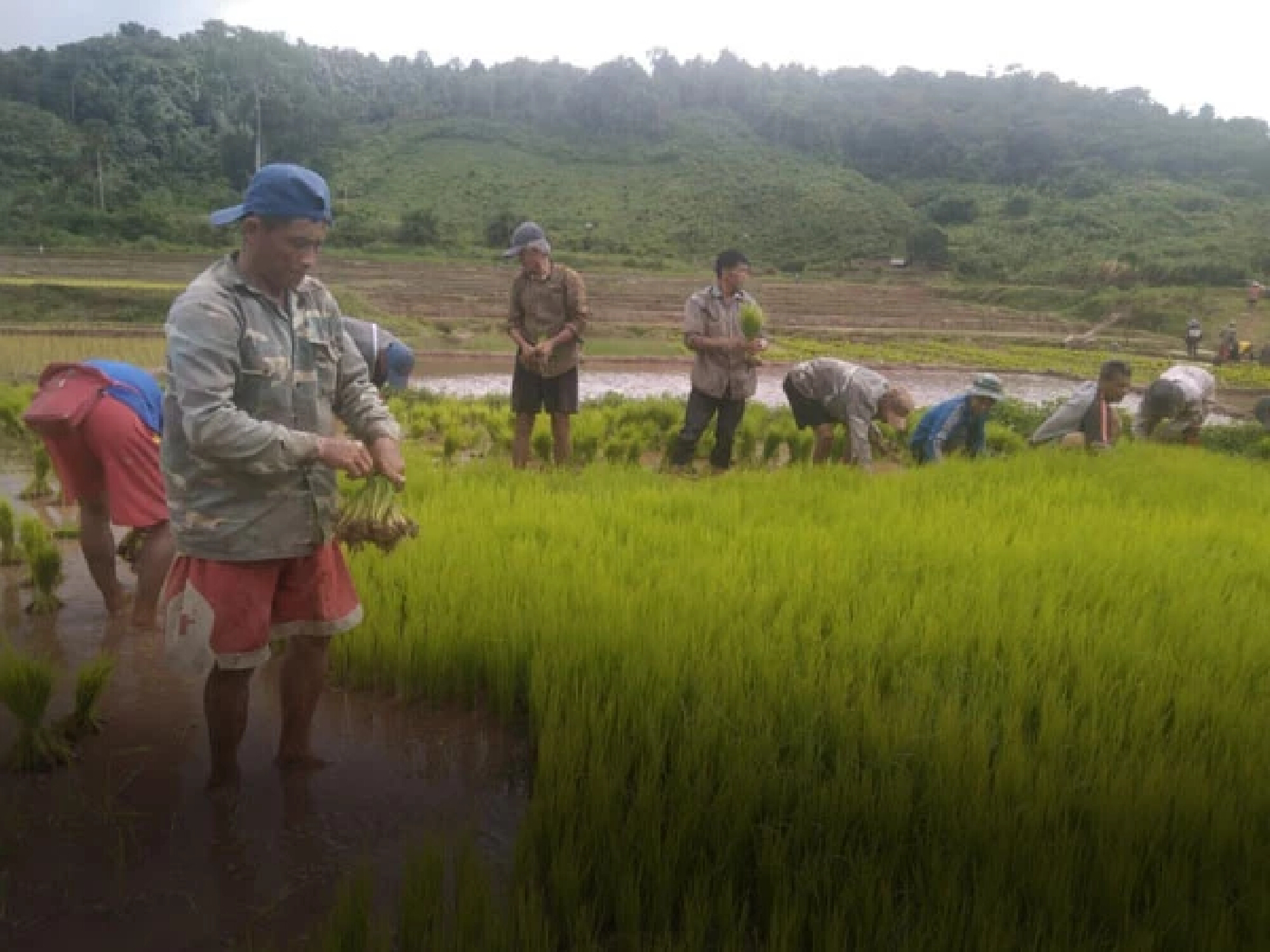 Laos among countries with highest inflation in SE Asia