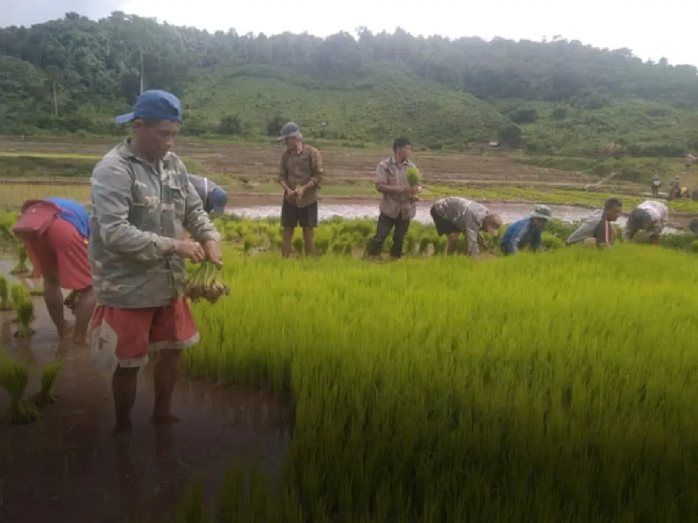 Laos among countries with highest inflation in SE Asia Laos among countries with highest inflation in SE Asia