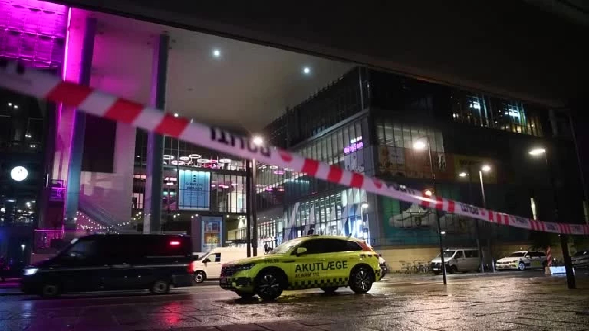 Three people killed in Copenhagen mall shooting - police chief