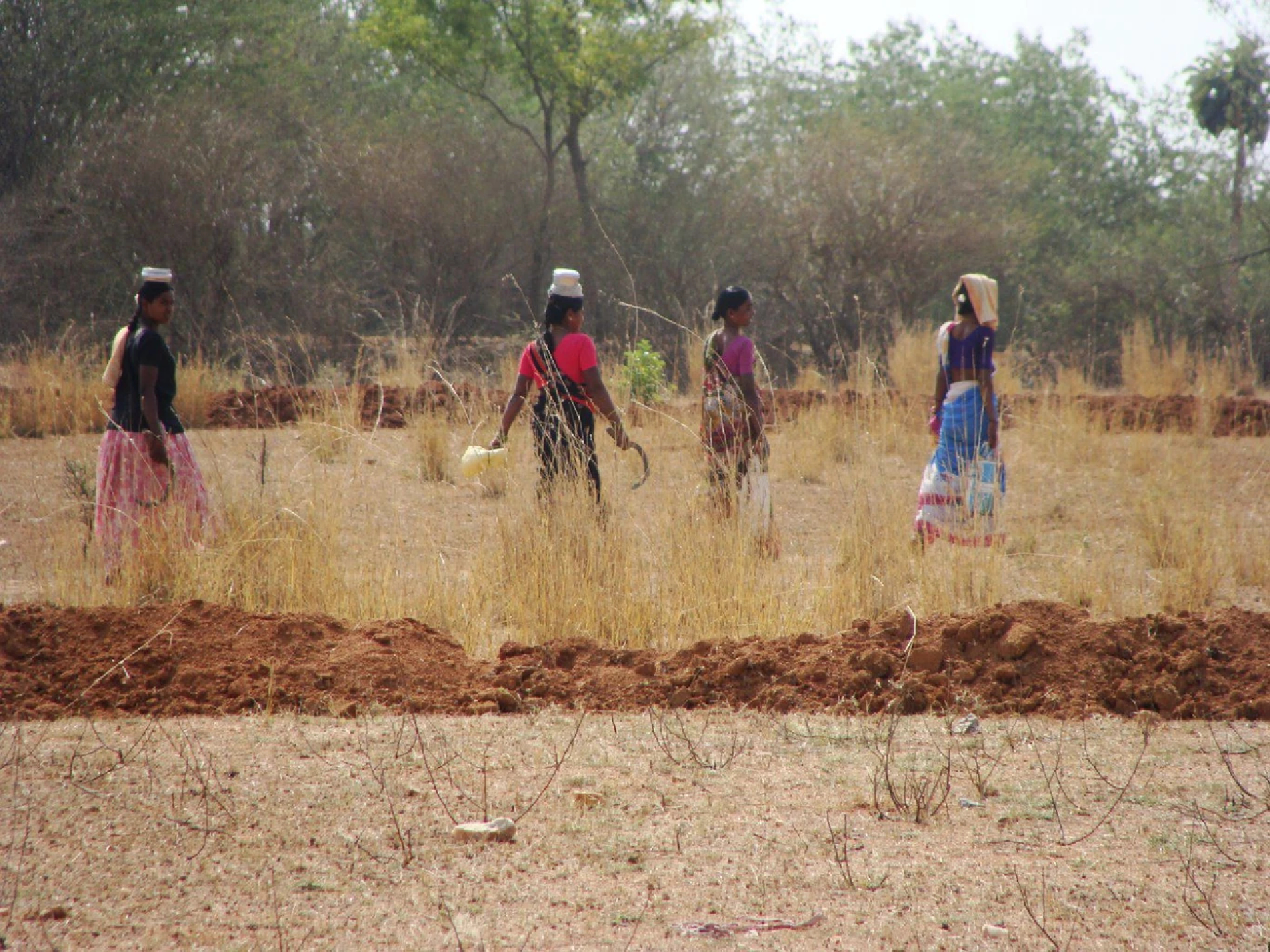 You say it is potato but I say property rights