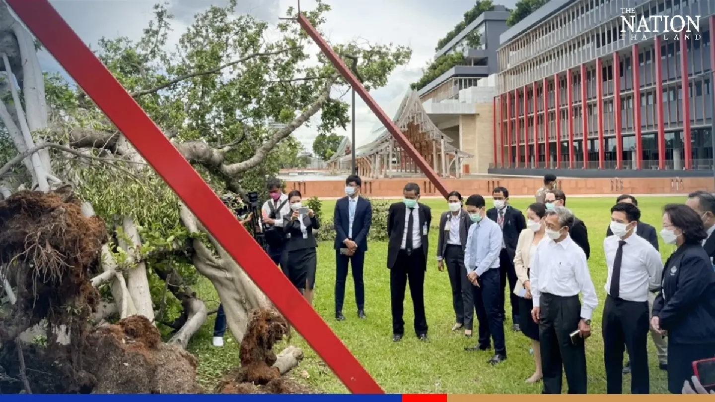 Mysterious cannabis plants uprooted in Parliament complex
