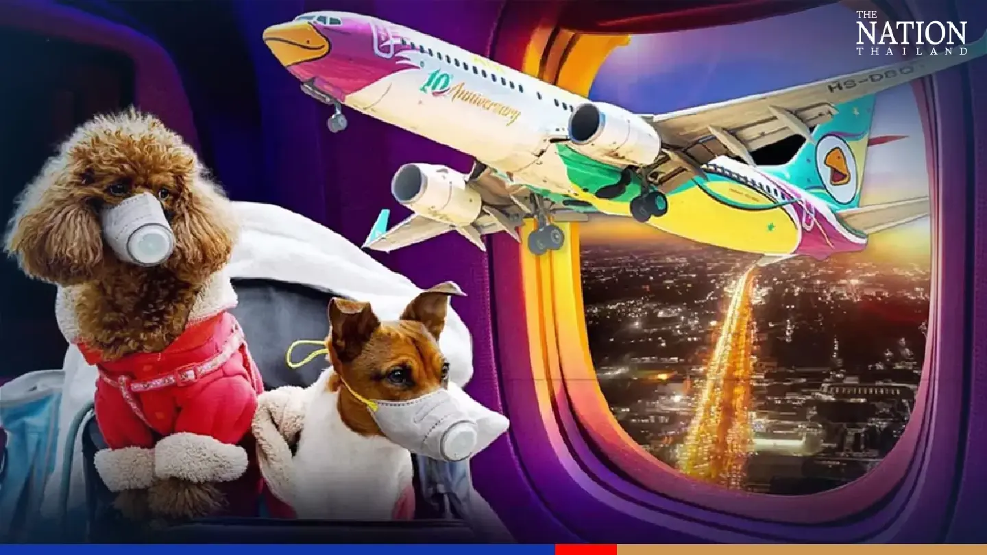 Nok Air passengers can fly with their pets in cabins from August Nok Air passengers can fly with their pets in cabins from August