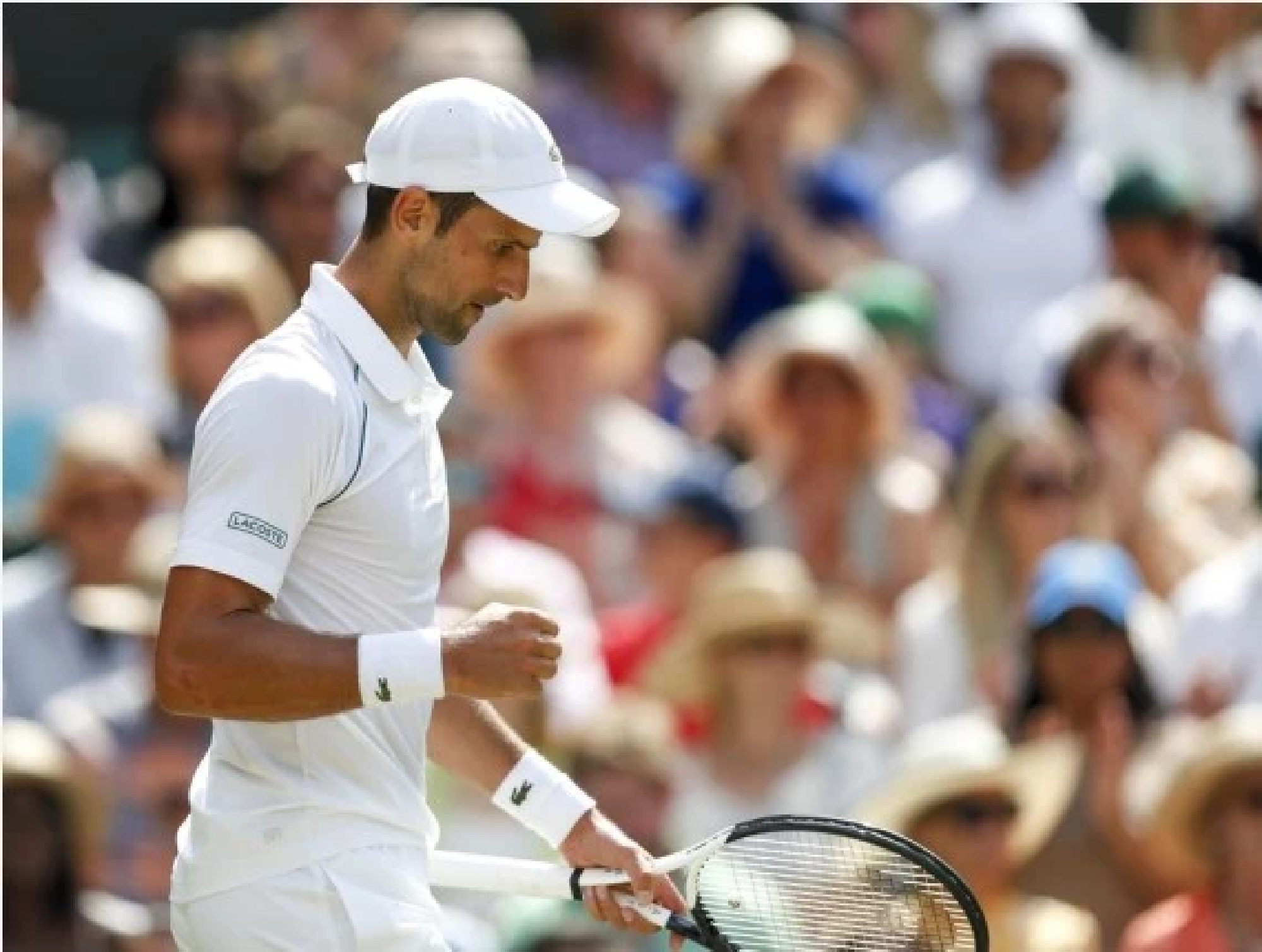 Novak Djokovic clinches seventh Wimbledon title