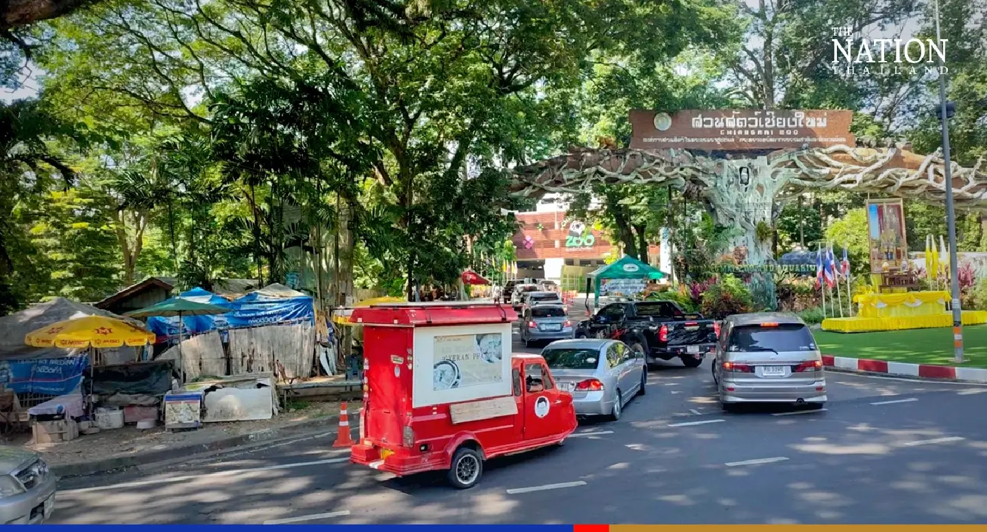 Panda-monium as Chiang Mai Zoo sets new visitor record