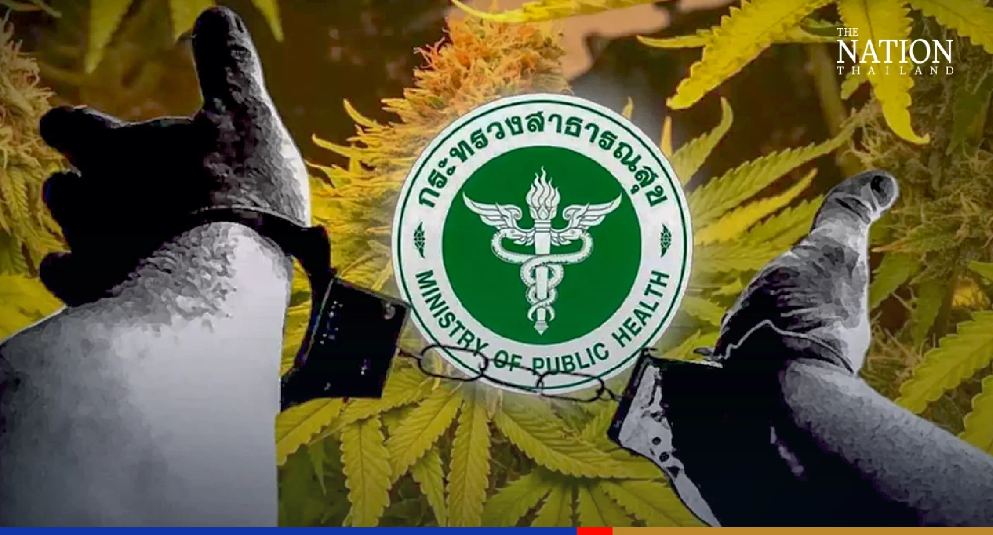 Health Ministry revokes order to RTP on legal action against cannabis lawbreakers