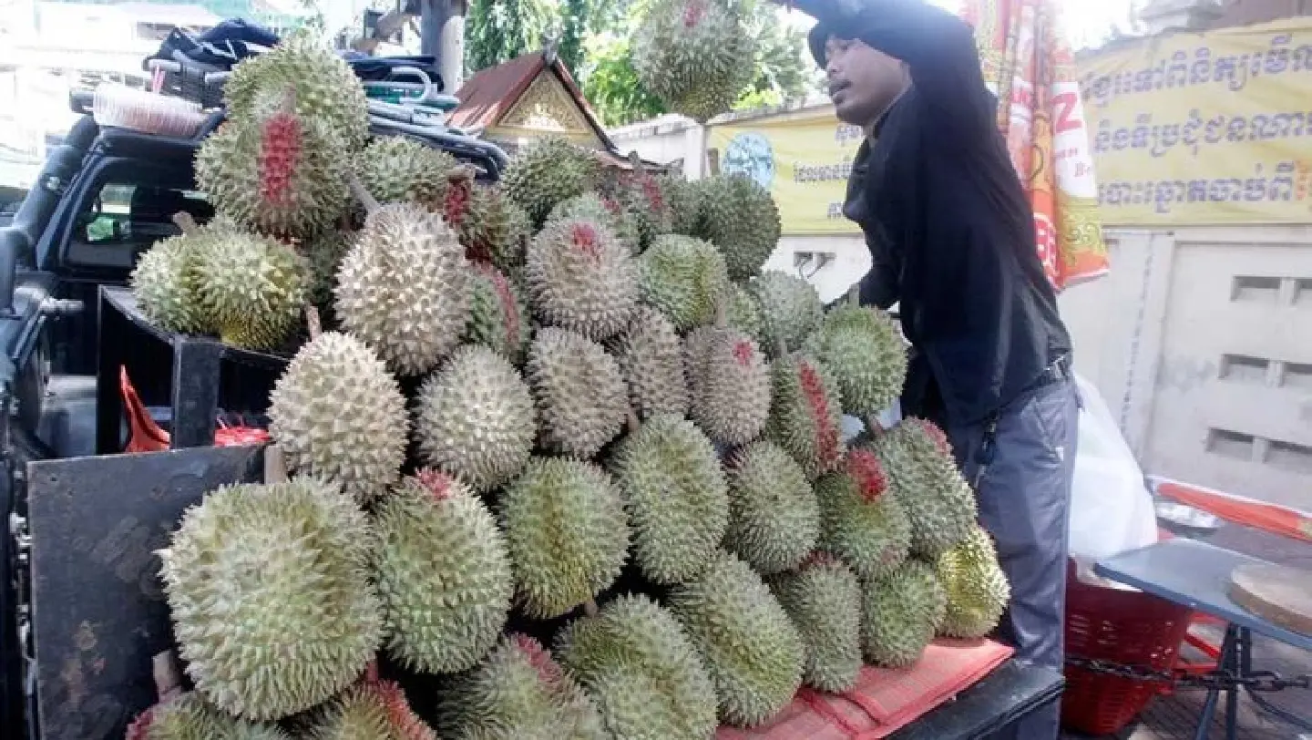 Cambodia’s Preah Vihear durians grab slice of China market