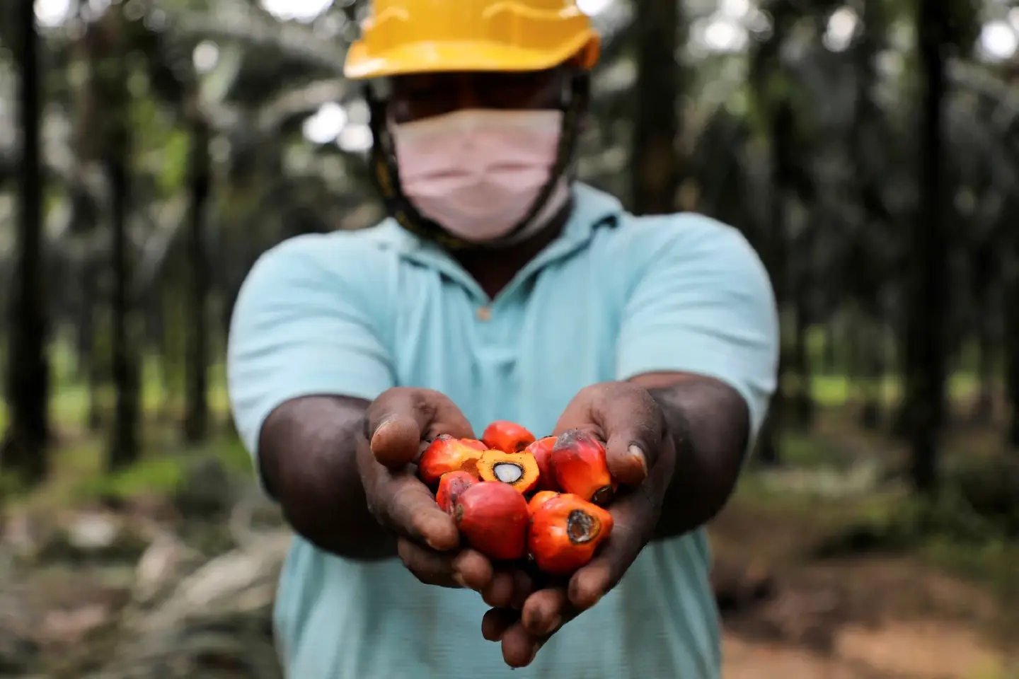 Malaysia threatens palm oil millers as production grinds to halt Malaysia threatens palm oil millers as production grinds to halt