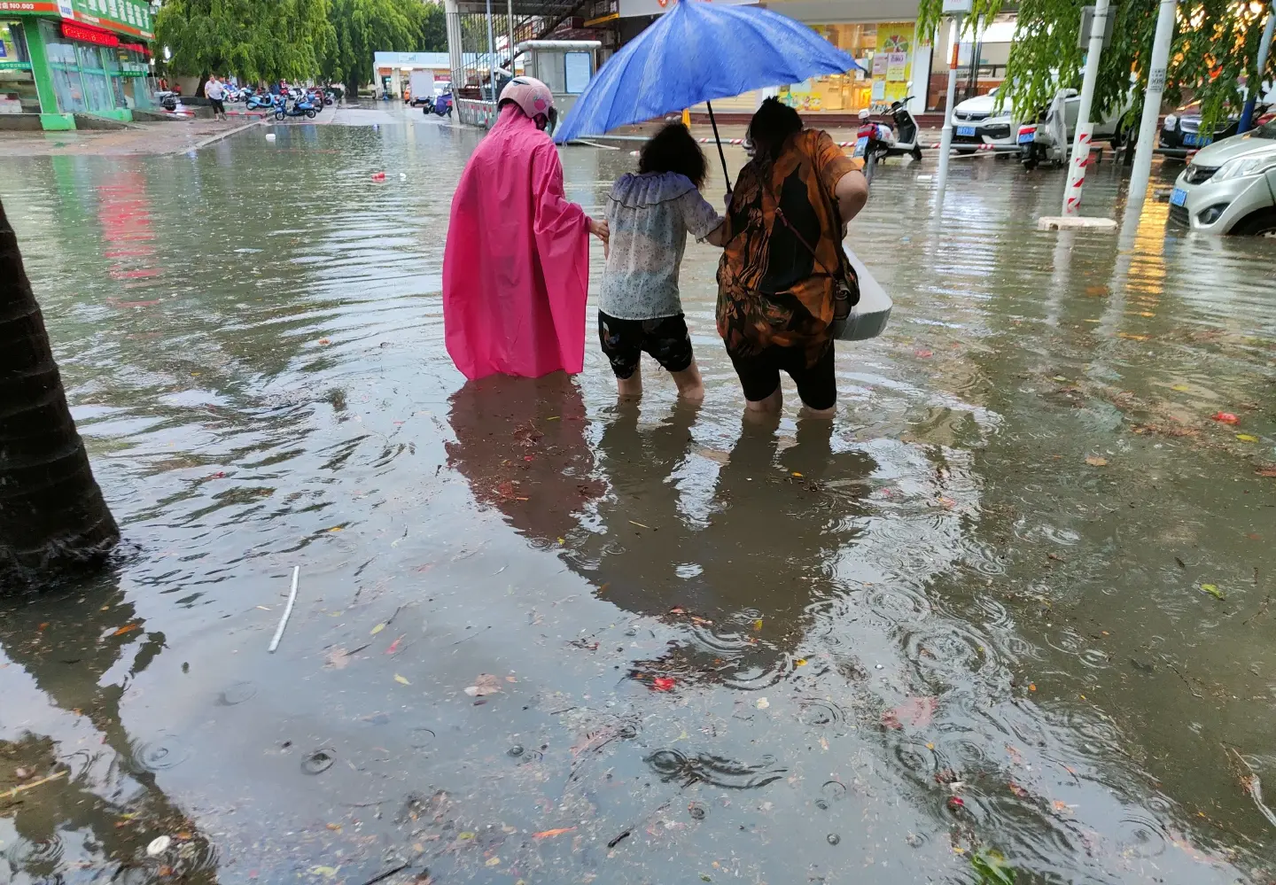 Typhoon Chaba makes landfall in China's Guangdong