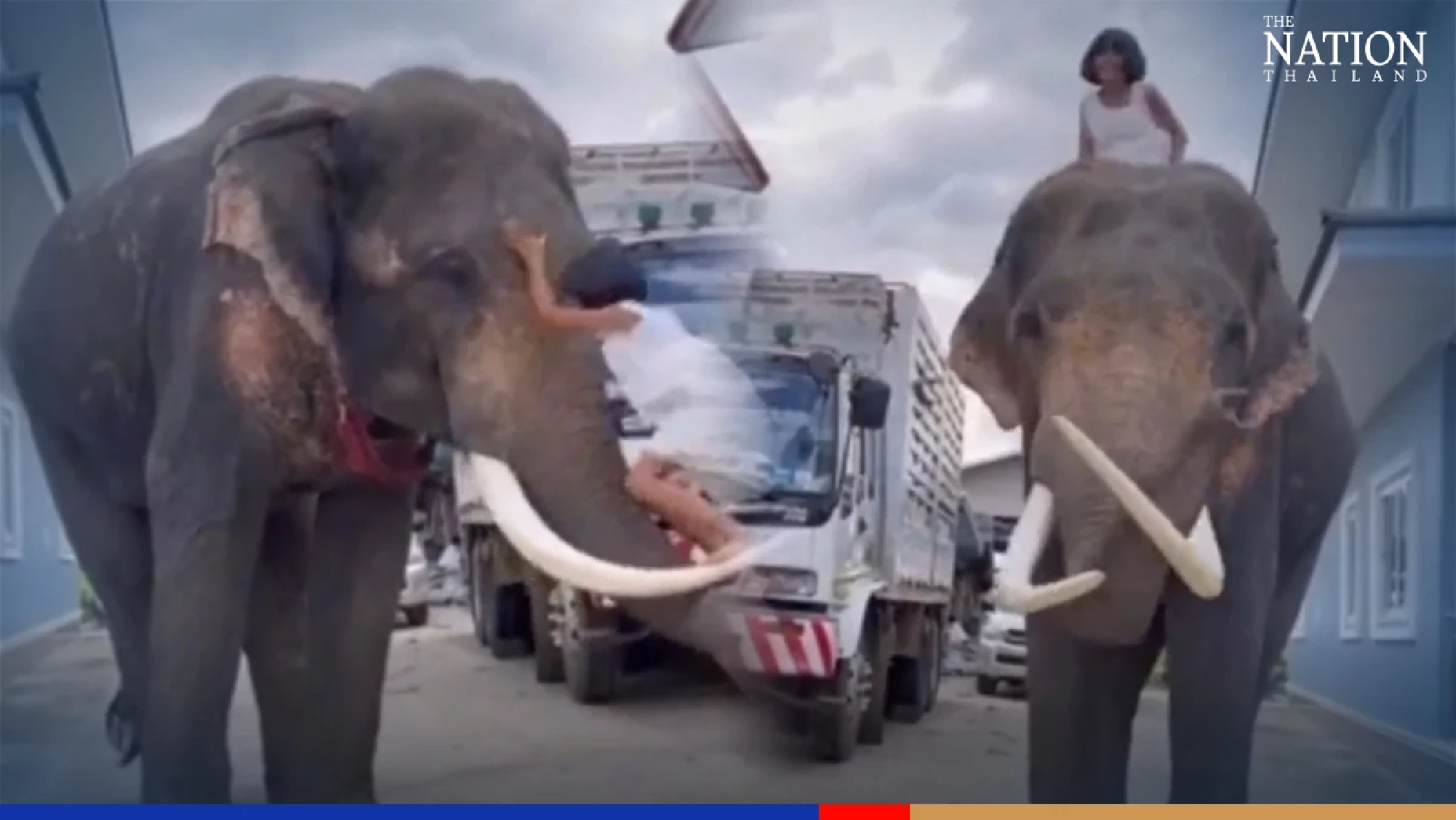 Who needs a school bus when you have an elephant?