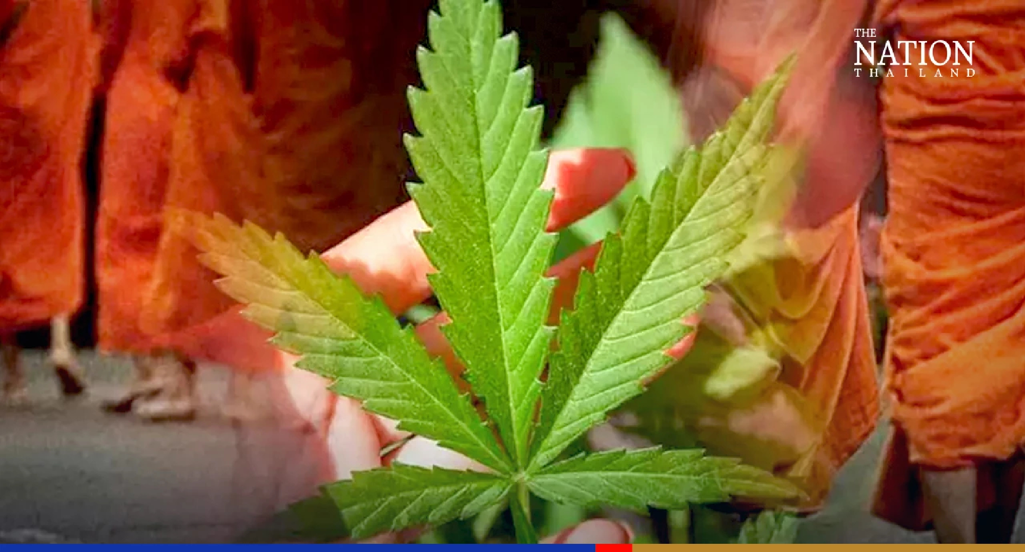 Buddhist monks banned from using cannabis, except as medicine