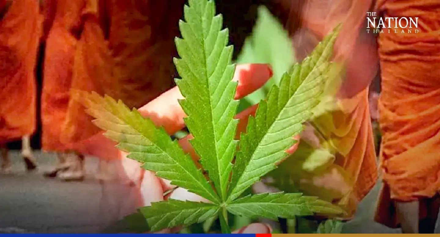 Buddhist monks banned from using cannabis, except as medicine