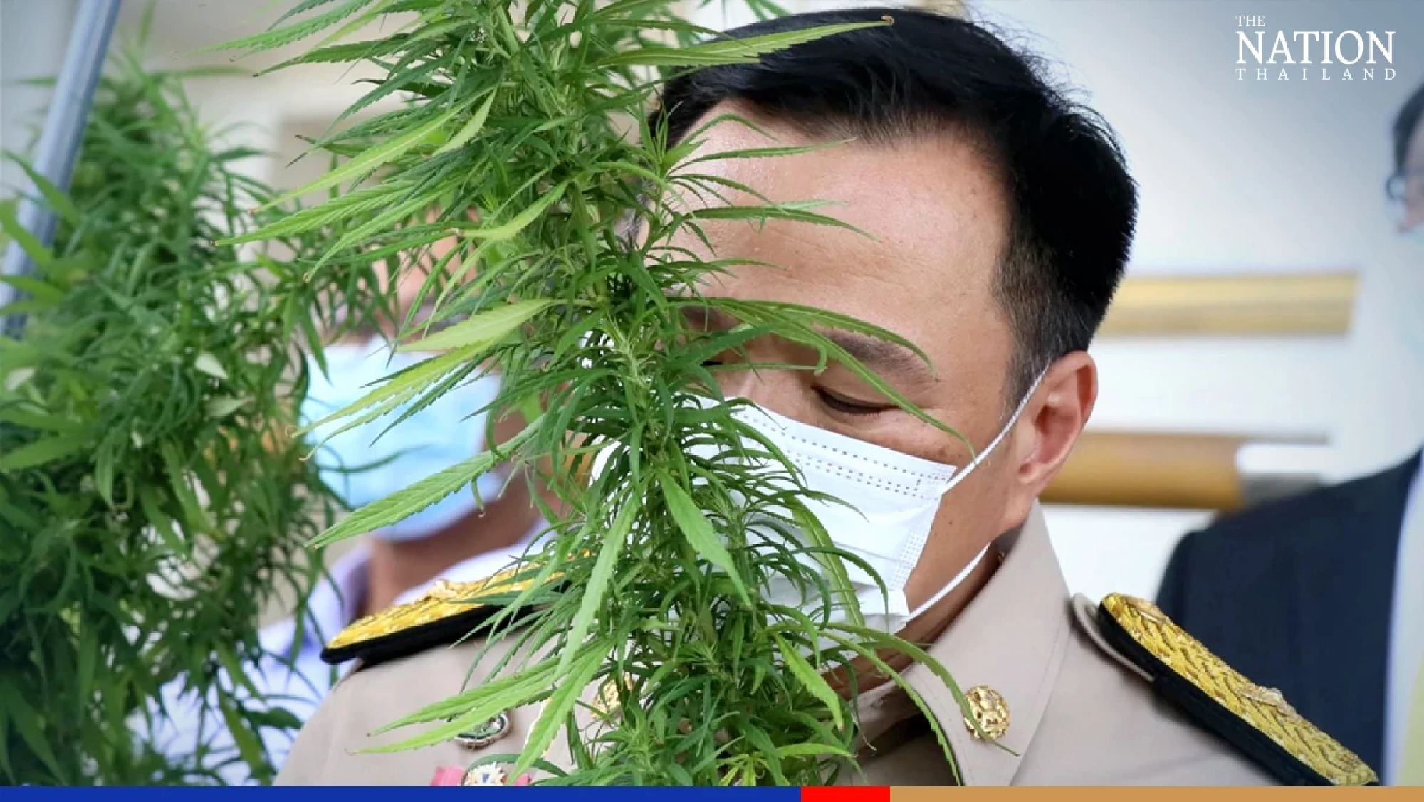 Malaysian health minister to visit Thai hemp and ganja plantations