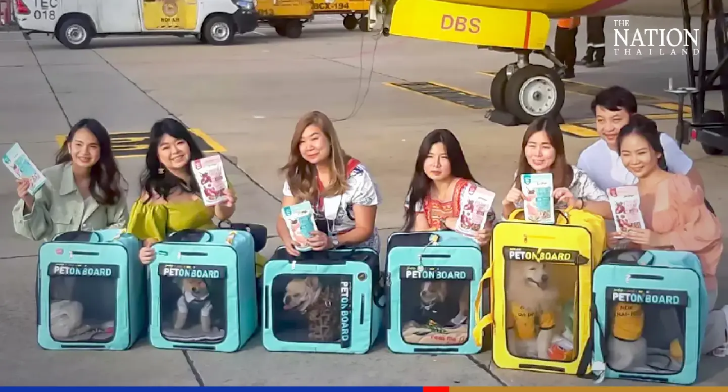 Pet-friendly flight to Chiang Mai is a howling success Pet-friendly flight to Chiang Mai is a howling success