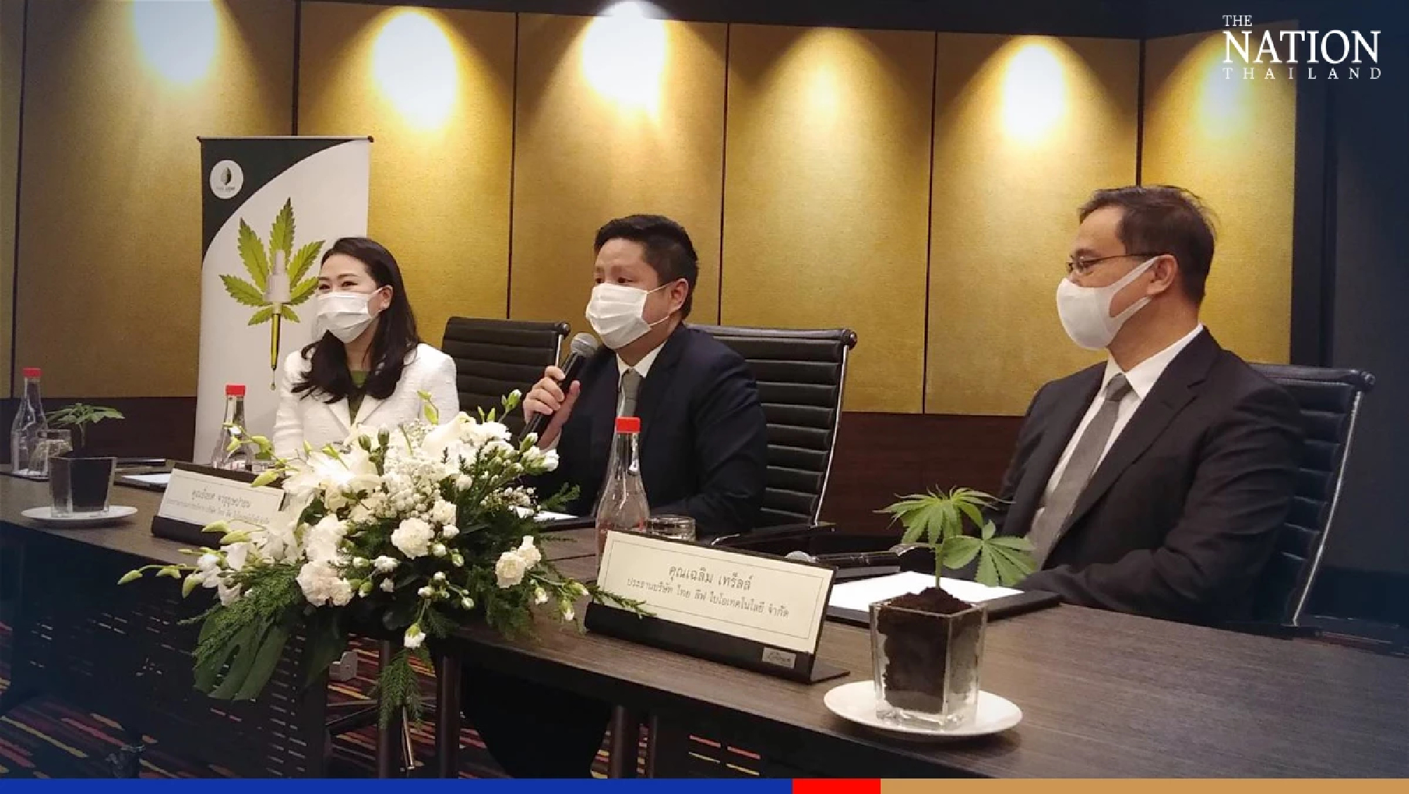 Thai Leaf taps US experts as Thailand eyes billion-dollar hemp market