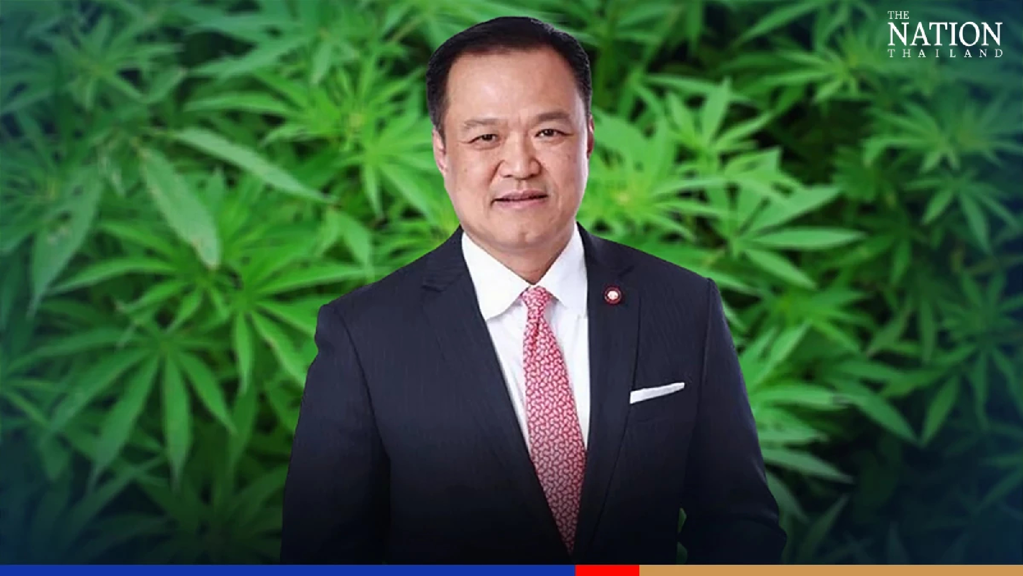 Malaysia mulls legalising cannabis, kratom for medical purposes: Anutin