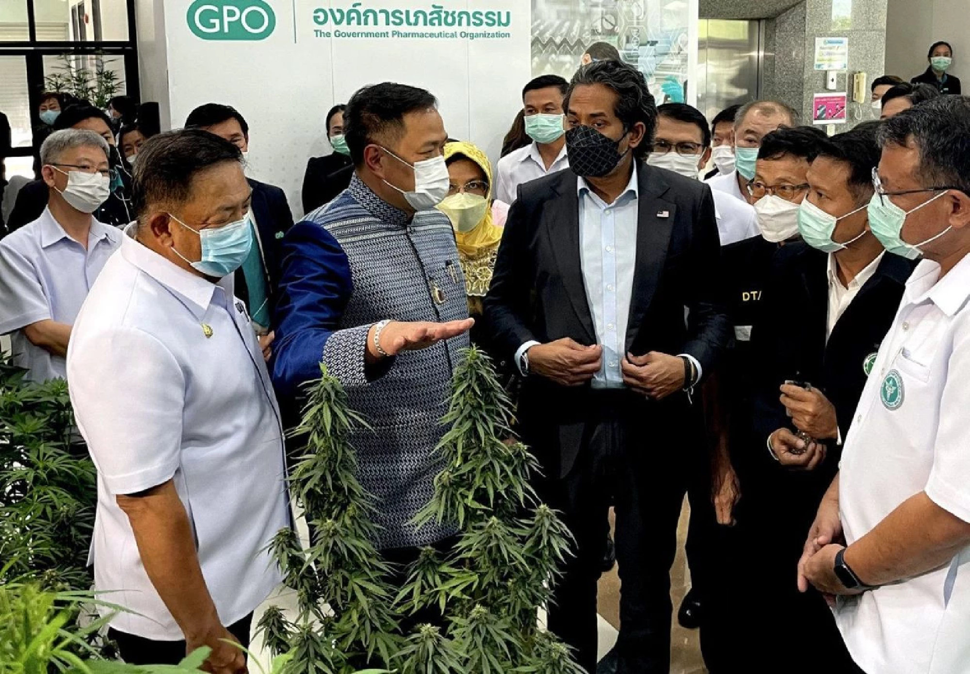 Malaysia will decide on cannabis legalisation before yearend: Khairy