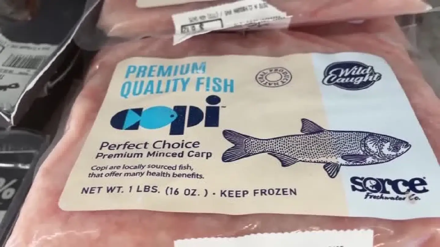 What's in a name? Illinois trying to make invasive Asian carp fish more palatable
