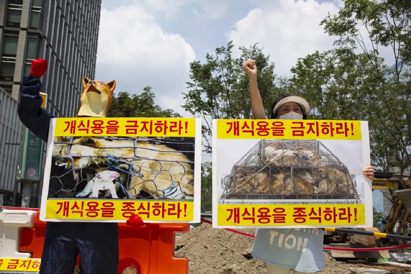 ‘Over 500,000 dogs are raised for meat in Korea’