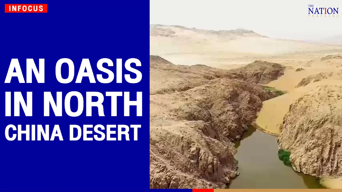 An oasis in north China desert | The Nation