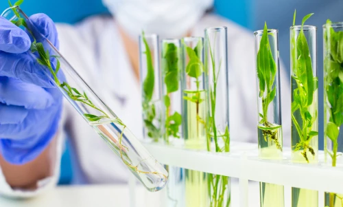 L'Oreal moves towards the beauty of the future and holds full research on environmental science principles