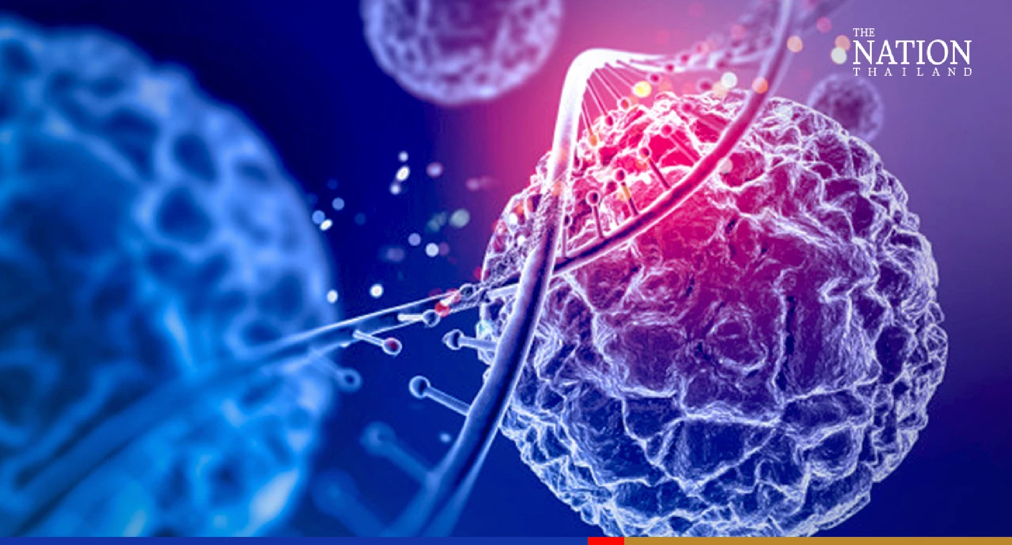 ‘No chance’ of monkeypox and Covid-19 viruses merging