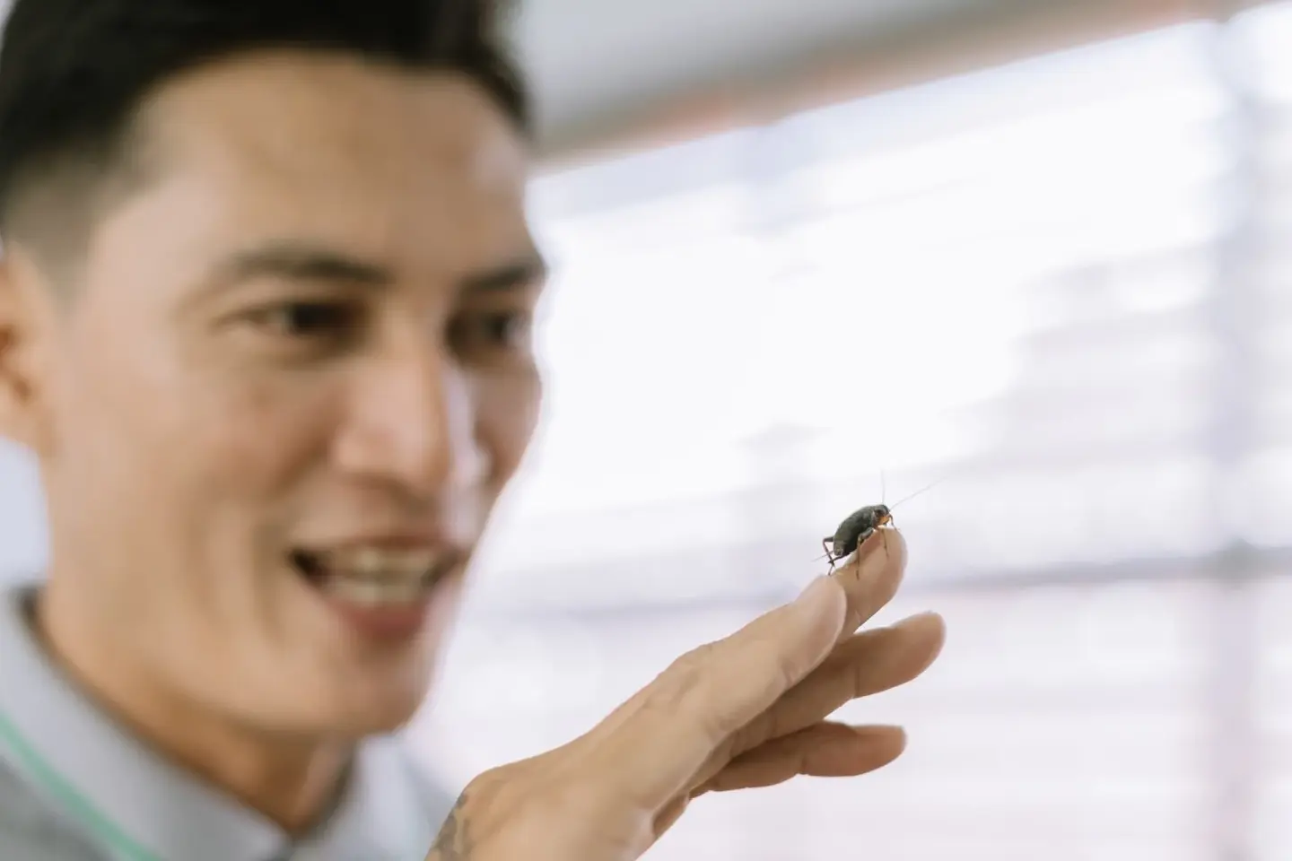 Former drug addict finds his calling with cricket and online chili paste business Former drug addict finds his calling with cricket and online chili paste business