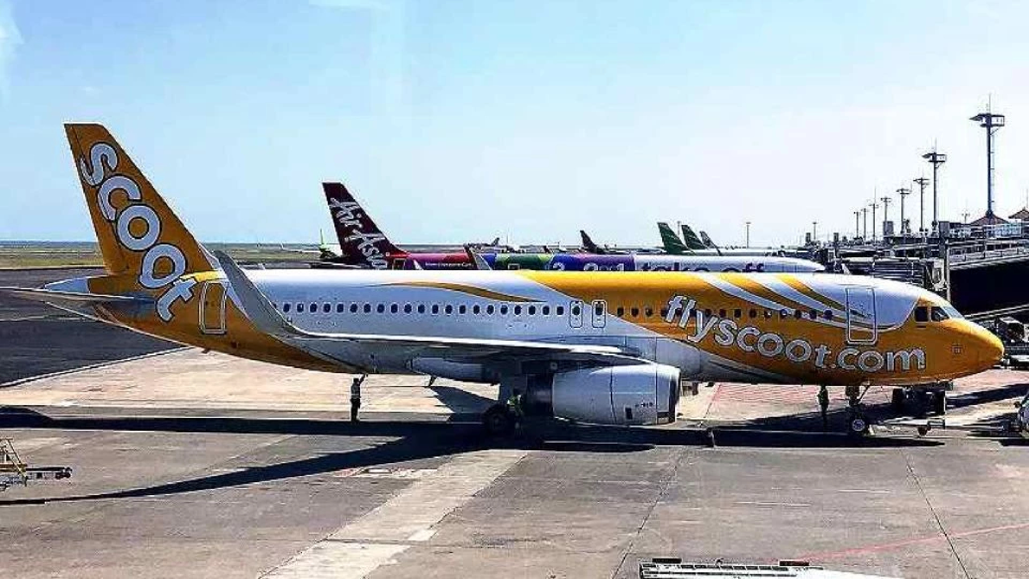 Southeast Asian low cost carriers see business taking off