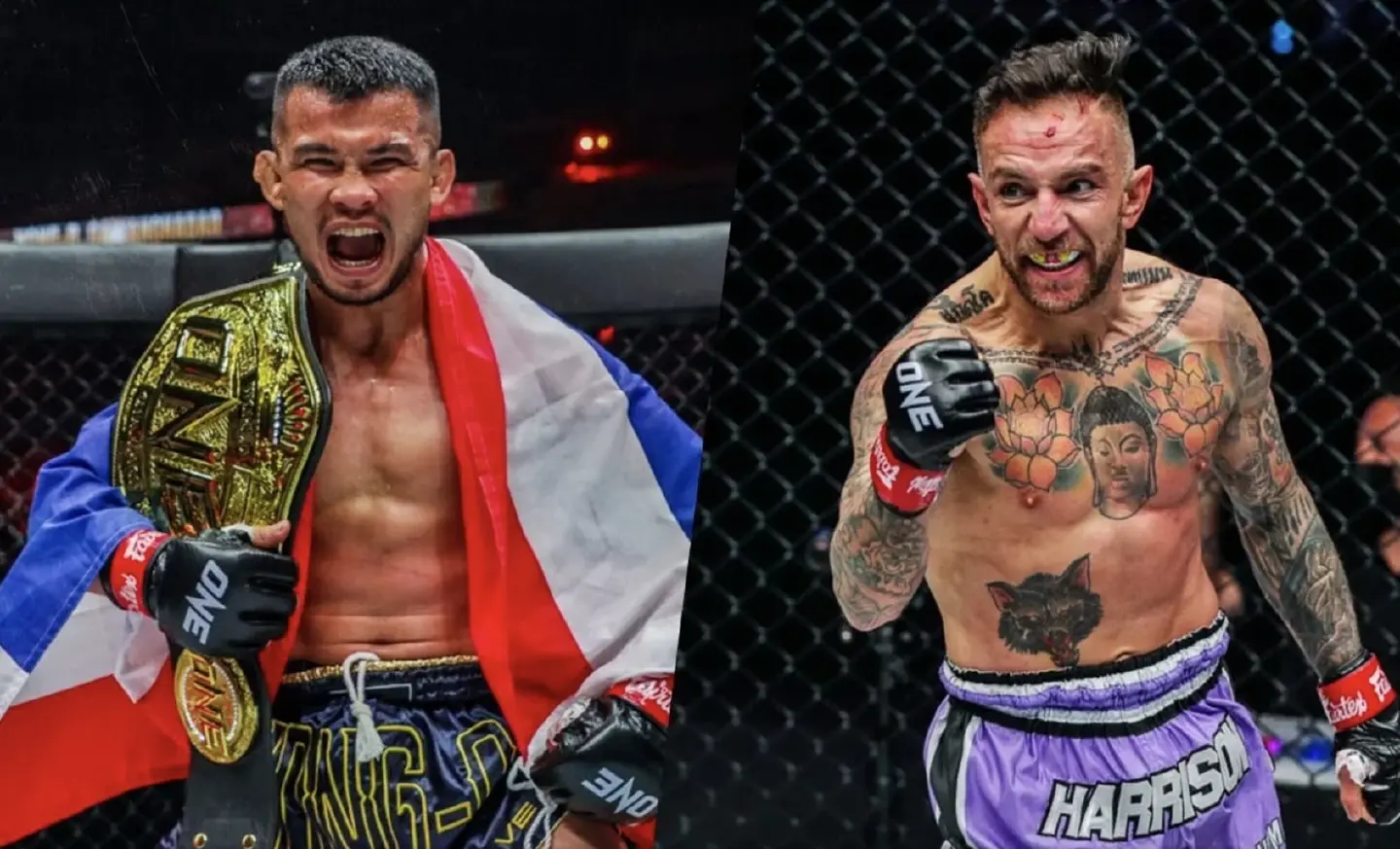 Nong-O determined to retire Liam Harrison at ONE Fight Night 1 Nong-O determined to retire Liam Harrison at ONE Fight Night 1